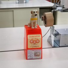 盲導犬育成募金