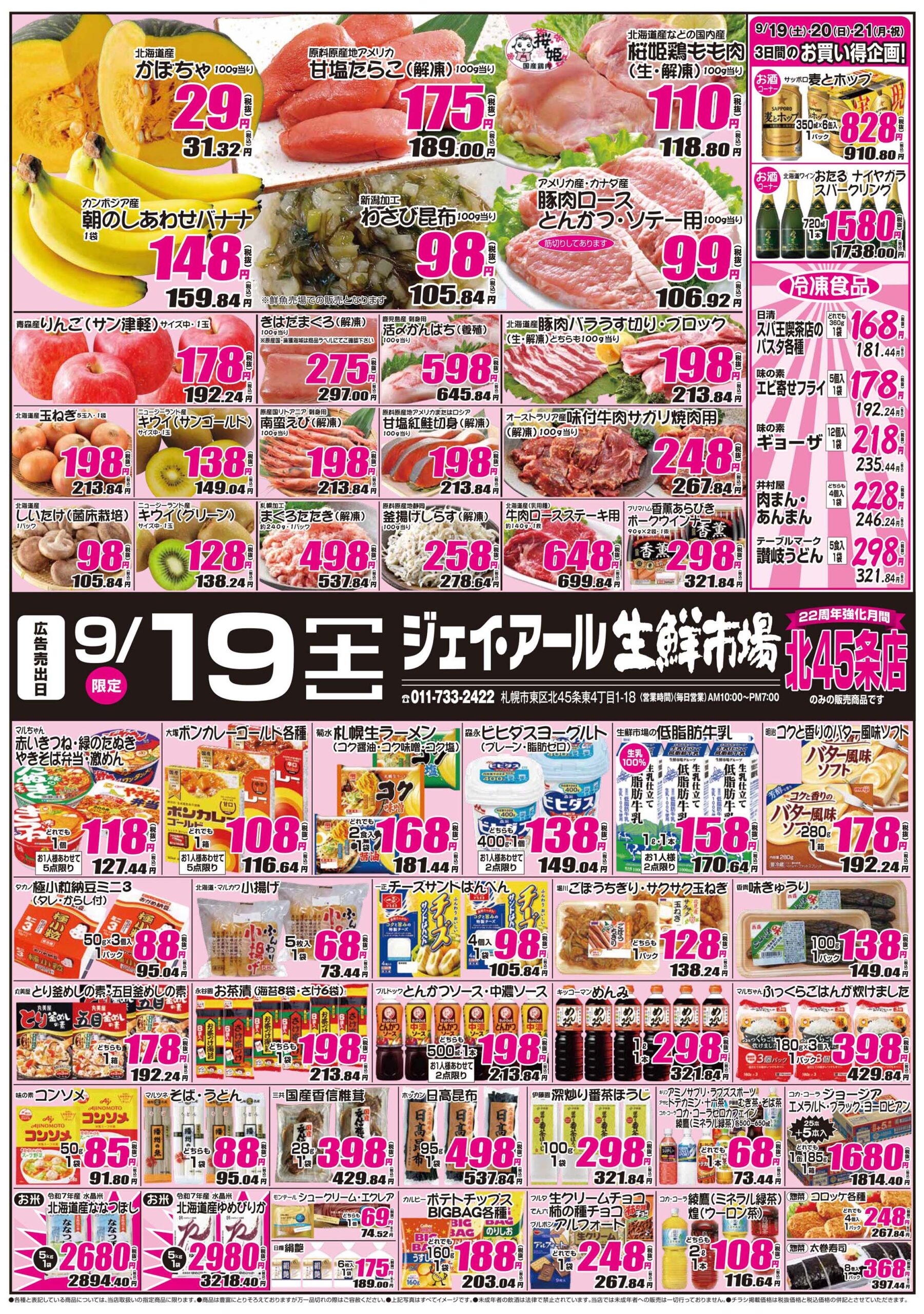 活動歴および当時の関連ビジュアル記録